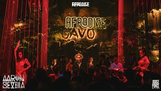 Aaron Sevilla At Afrodise Cavo Dubai  Afro House Dj Set