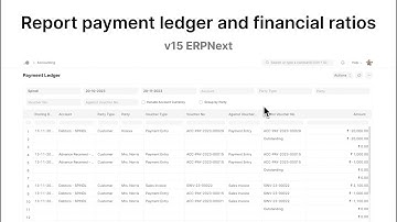 Report payment ledger and financial ratios | ERPNext v15