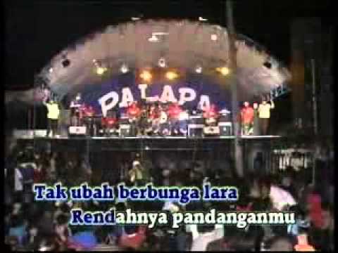 ▶ dangdut palapa rela   YouTube