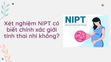 Xét nghiệm NIPT có biết chính xác giới tính thai nhi không?