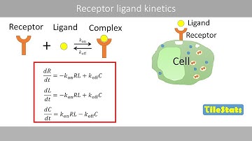 Receptor ligand kinetics | mathematical modeling