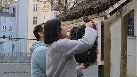 The Seaweed Pavilion: A Building Experiment