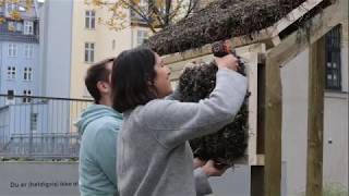 The Seaweed Pavilion: A Building Experiment