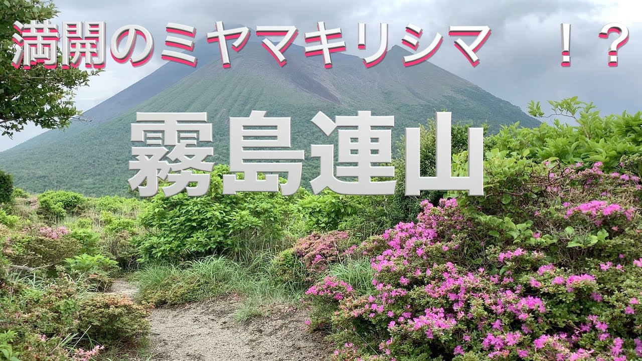 21 ミヤマキリシマ 霧島連山 中岳登山道コース Youtube