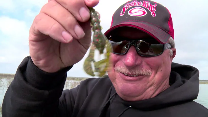 New Season: Pro Team Journal