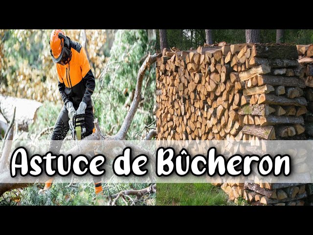 Savoir manier la tronçonneuse pour faire son bois de chauffage