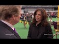 Real Sports with Bryant Gumbel: Dog Breeding Web Extra #2 (HBO Sports)