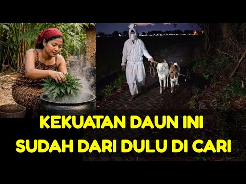 SANGAT DIBUTUHKAN OLEH JUTAAN ORANG DARI DAHULU 