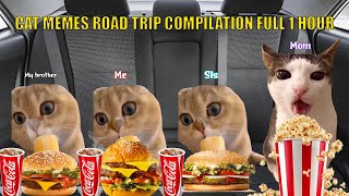 CAT MEMES: Road Trip Compilation Full 1 Hour
