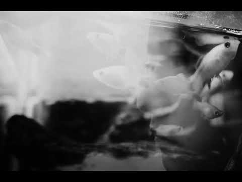 Fallin/坠落 - 艾热/AIR feat.COIN