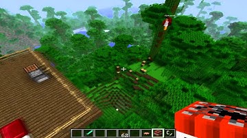 Minecraft 1.2.5 Prerelease