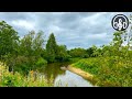 Beautiful singing of morning birds by the calm river. 10 Hours of 4K video.