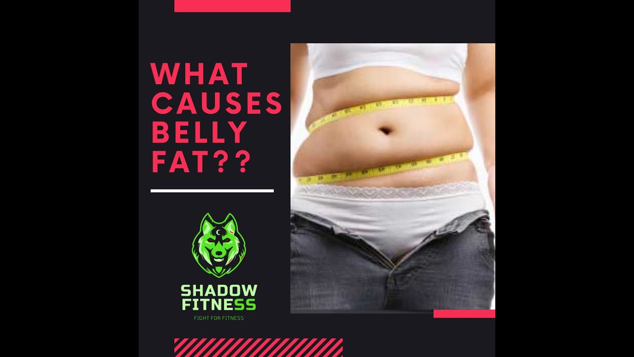 What CAUSES BELLY FAT YouTube