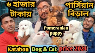 Katabon animal market in bangladesh|Keeshond dog|Pomeranian dog| Persian Cat| Dog and cat price 2023