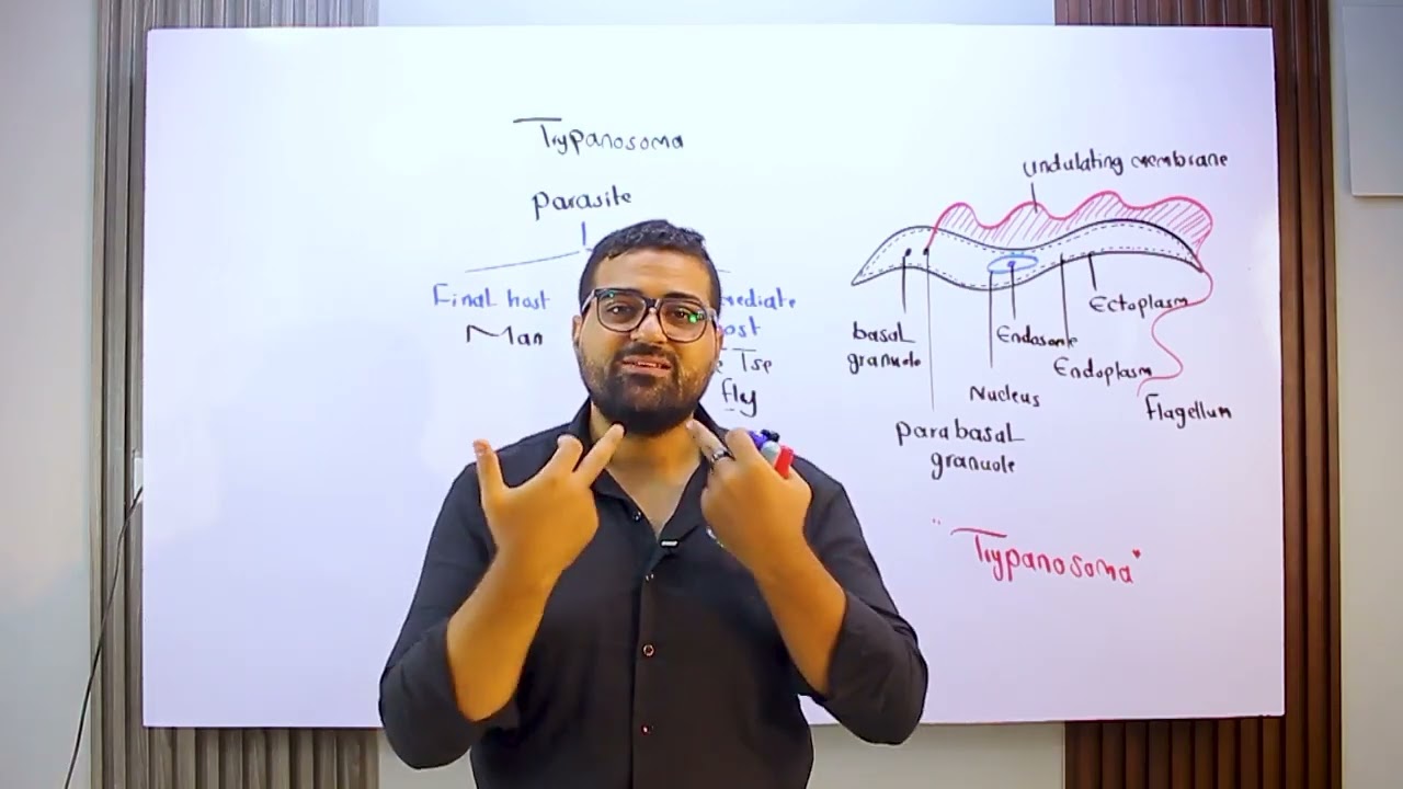 Zoology | Systematic  | Trypanosoma 