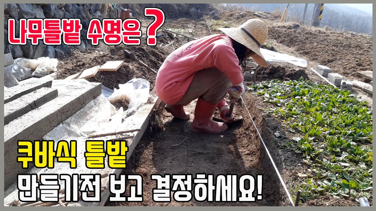 쿠바식 상자틀밭 만들기전 보고 결정하세요 3년사용후기