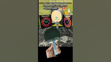 Fan Zhendong Super ALC + Dignics 09C + Dignics 05 | Professionele vlindercombo!