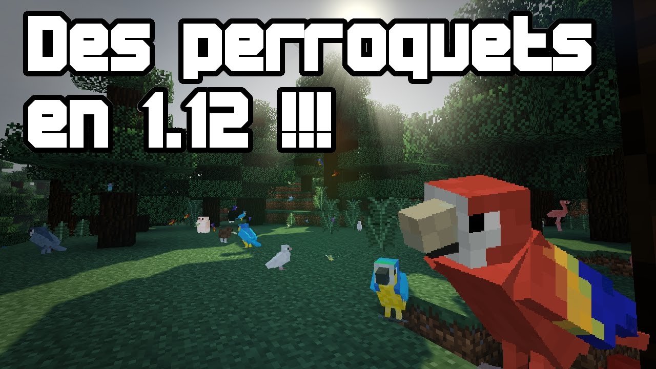 Comment Faire Reproduire Des Perroquet Dans Minecraft