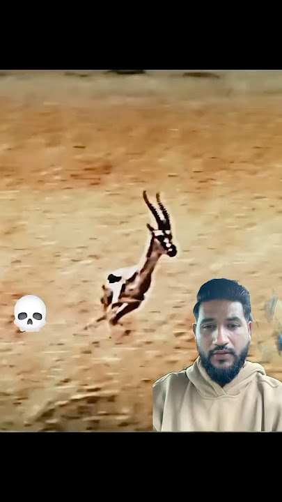 JUJALARIM FUNK (OverSlowed) #Shorts #funny #marvel #viral #hauntingtales #tranding. @Rendi_goodboys