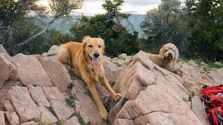 Mountain hiking with dogs | Mt. Aire, Utah | Beautiful sunset!