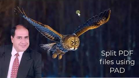 How to split PDF files using Power Automate for Desktop