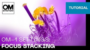 OM-1 & OM-1 Mark II Settings: Focus stacking
