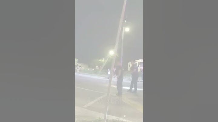 Florida Police Attempt to Wrangle Giant Alligator Found in the Middle of Intersection
