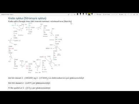 Video: Hva er elektronbærerne i fotosyntesen?