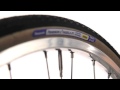 Panaracer Urban Tyre