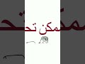 إيميلي والكرم ج3