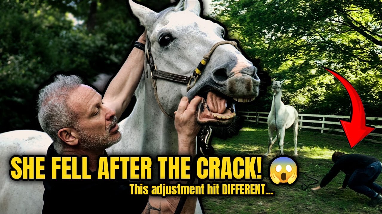 Horse of the Year? More Like Bumper of the Year! 😅