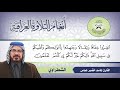 الشطراوي القارئ جاسم خضير عباس سورة التوبة 