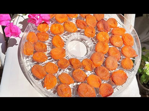 Ən Faydalı çərəz Ərik qurusu! Əriyi tumsuz, buiöv quru maq  / Apricot without seeds, whole dry mag