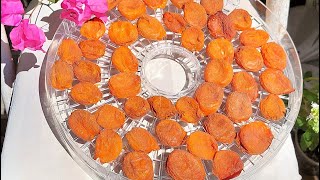 Ən Faydalı çərəz Ərik qurusu! Əriyi tumsuz, buiöv quru maq  / Apricot without seeds, whole dry mag