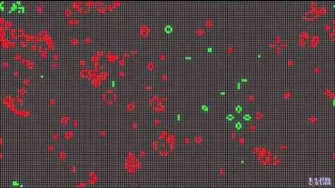 Predator-Prey Game of Life