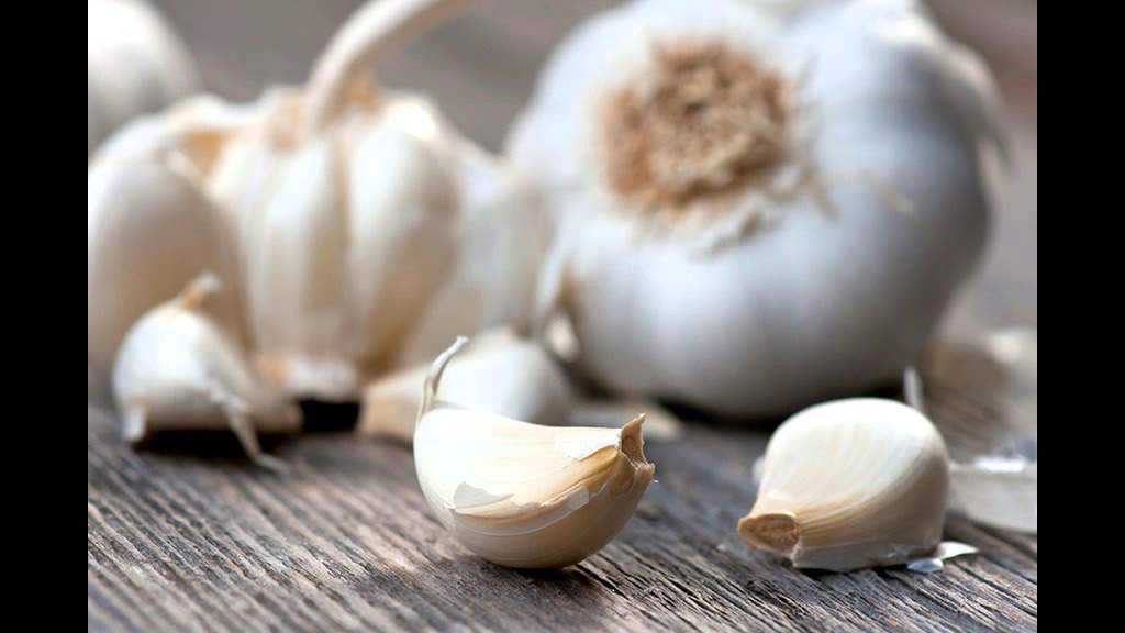 How to Plant Garlic Bulbs YouTube