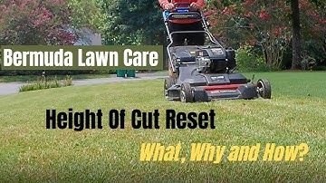 Bermuda Lawn Care - Height Of Cut Reset - What It Is, When, Why and How To Get It Done!