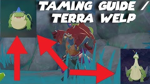 🤫Taming guide Terra Drake🤫 Dawn of Isles Andriod/IOS