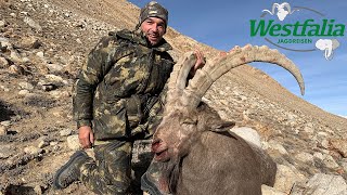 Jagd auf Steinbock und Mattison Argali in Tadschikistan