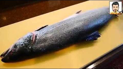 Kĩ thuật phi lê Cá Hồi - (Salmon Fillet Technology) | Masterchefvn