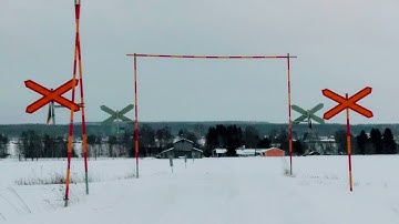 Are We Really ALONE on This Planet? - LASER Garden Ars Electronica 2021