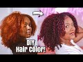 Watch Me Dye My Hair! | DIY Hair Color
