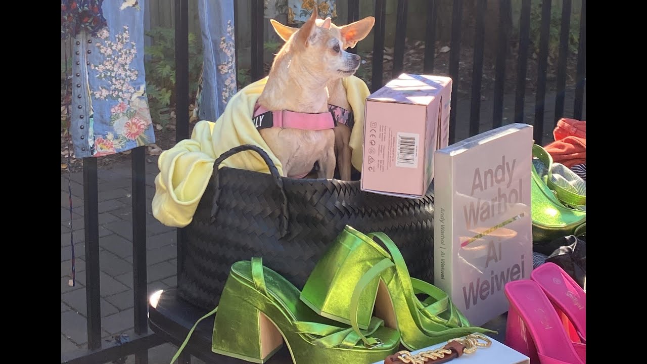 Saturday in Sydney #1 | Discovering Treasures at Glebe Markets