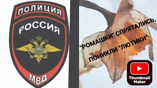 Моё обращение в полицию vs Сталкинг.