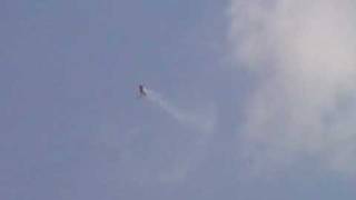 T-Rex 600Le Os55Hz & Hatori 56