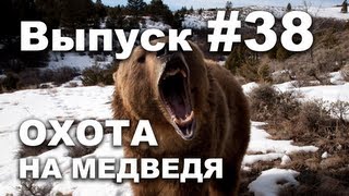 Выпуск 38: Охота на медведя видео 2013 Bear hunting in Russia. Выпуск 38: Охота на медведя видео 2013 Bear hunting in Russia.