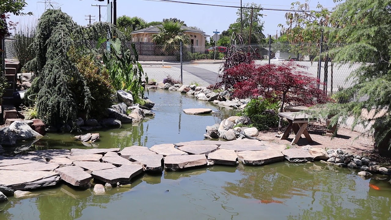 Part 2 visit to local nursery YouTube