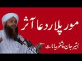 MOLANA ABDUL MATIN JAMALI DA MOR O PLAR DA DUA BARKAT