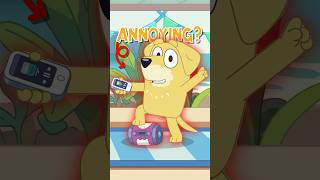 What Is The Most Annoying Game In Bluey 😠