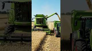 Modern Harvesting System #agriculture #harvesting  #modernagriculture #viralshorts #srilanka